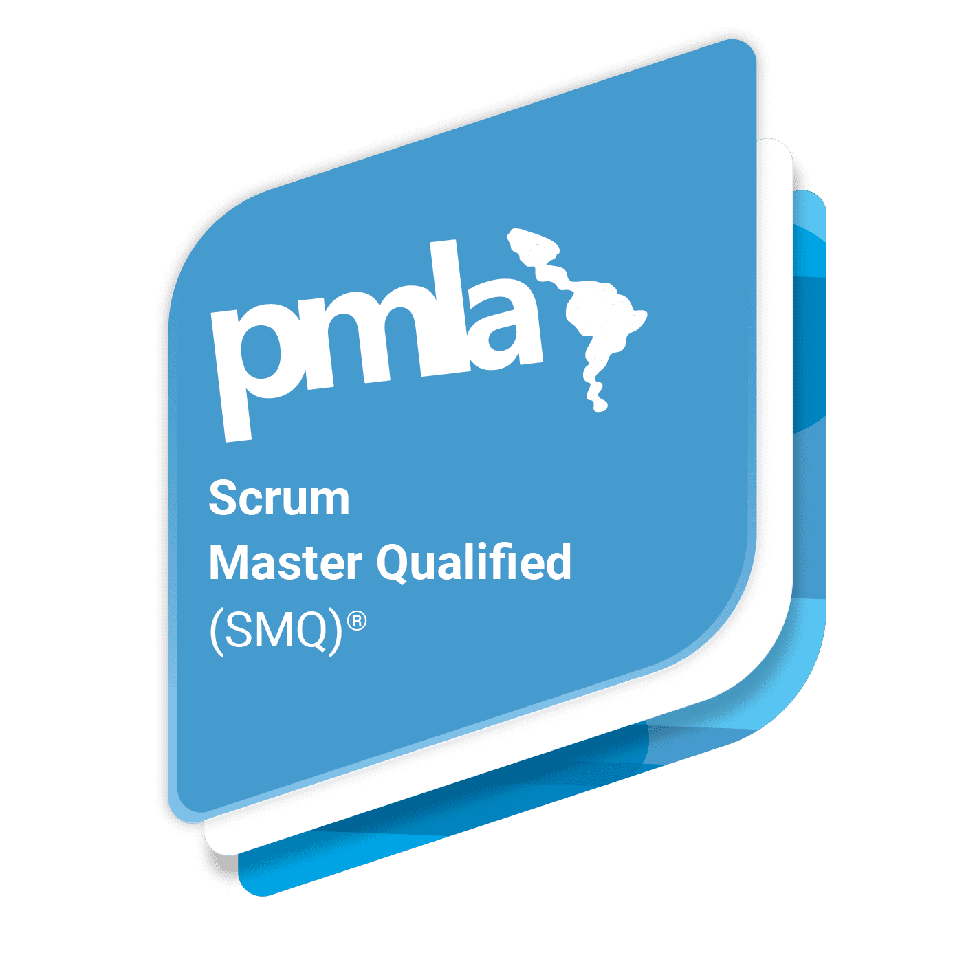 Scrum Master